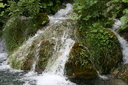 gal/cro 08/_thb_small-IMG_5610.JPG
